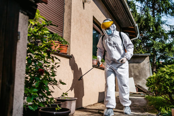 Best Pest Prevention Services  in Corning, IA