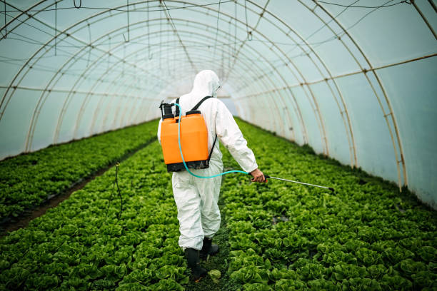 Pest Control Cost in Corning, IA
