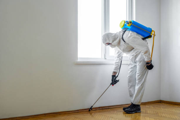 Best Wildlife Control Services  in Corning, IA